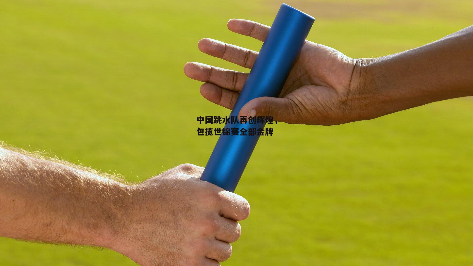 中国跳水队再创辉煌<a href=